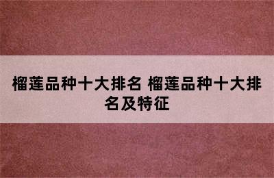 榴莲品种十大排名 榴莲品种十大排名及特征